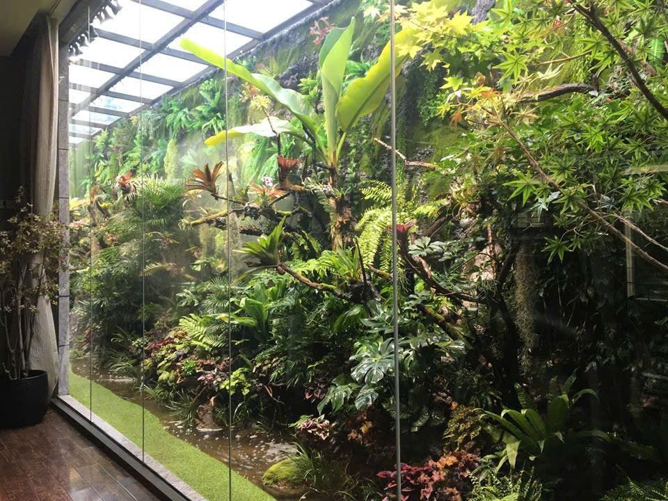 Bể cá thủy sinh 34