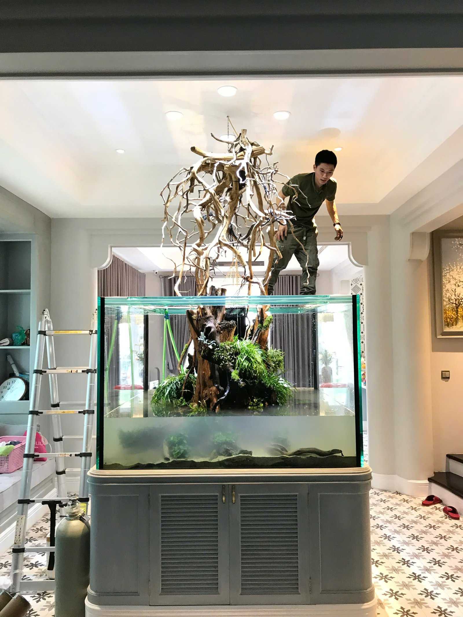 Bể cá thủy sinh 37