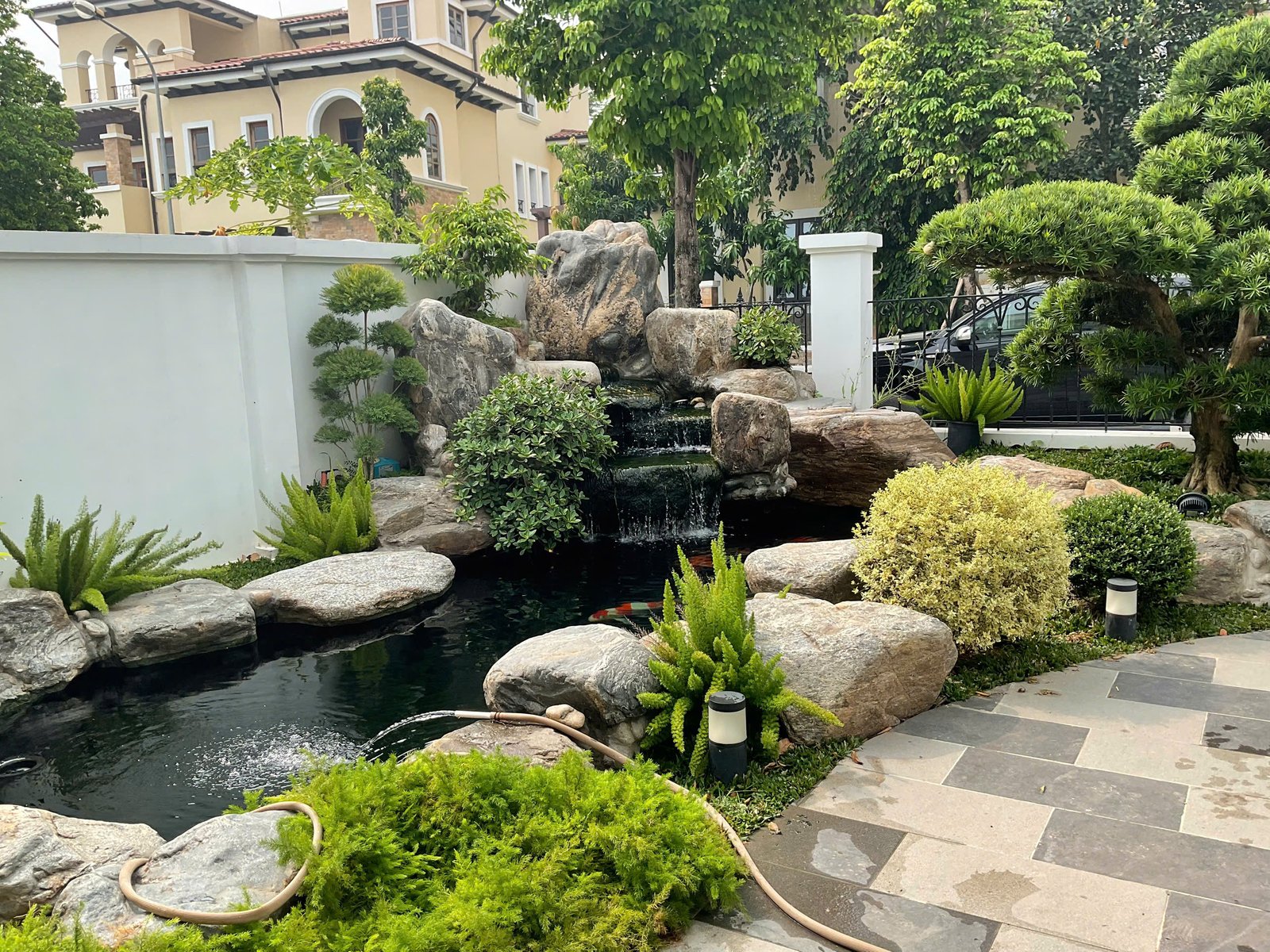 Bể Koi 2
