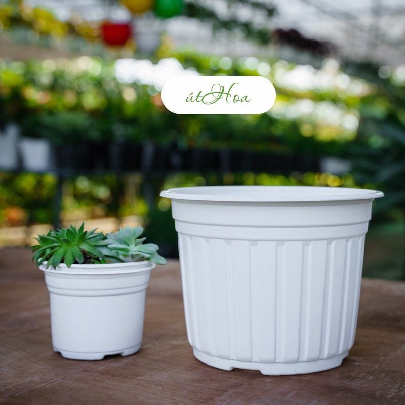 Chậu plastic ngoài trời (20cm)