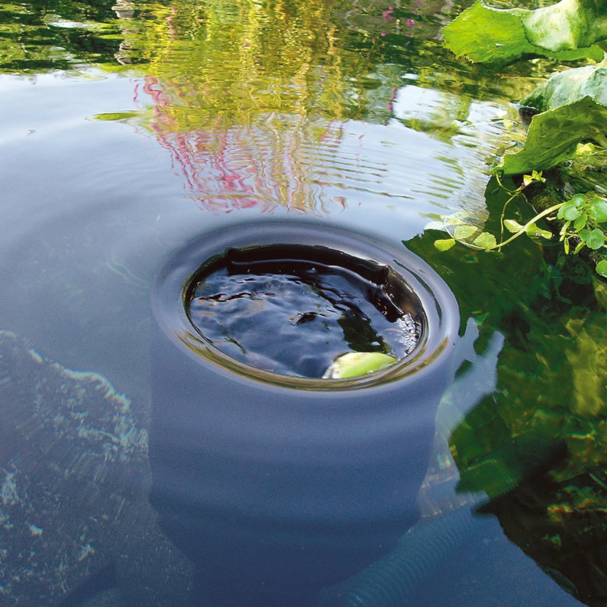 Hút mặt hồ Koi (Skimmer)
