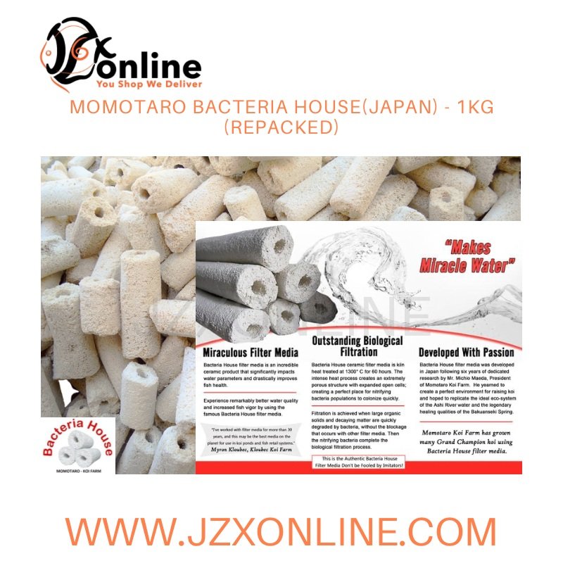 Momotaro Bacteria House