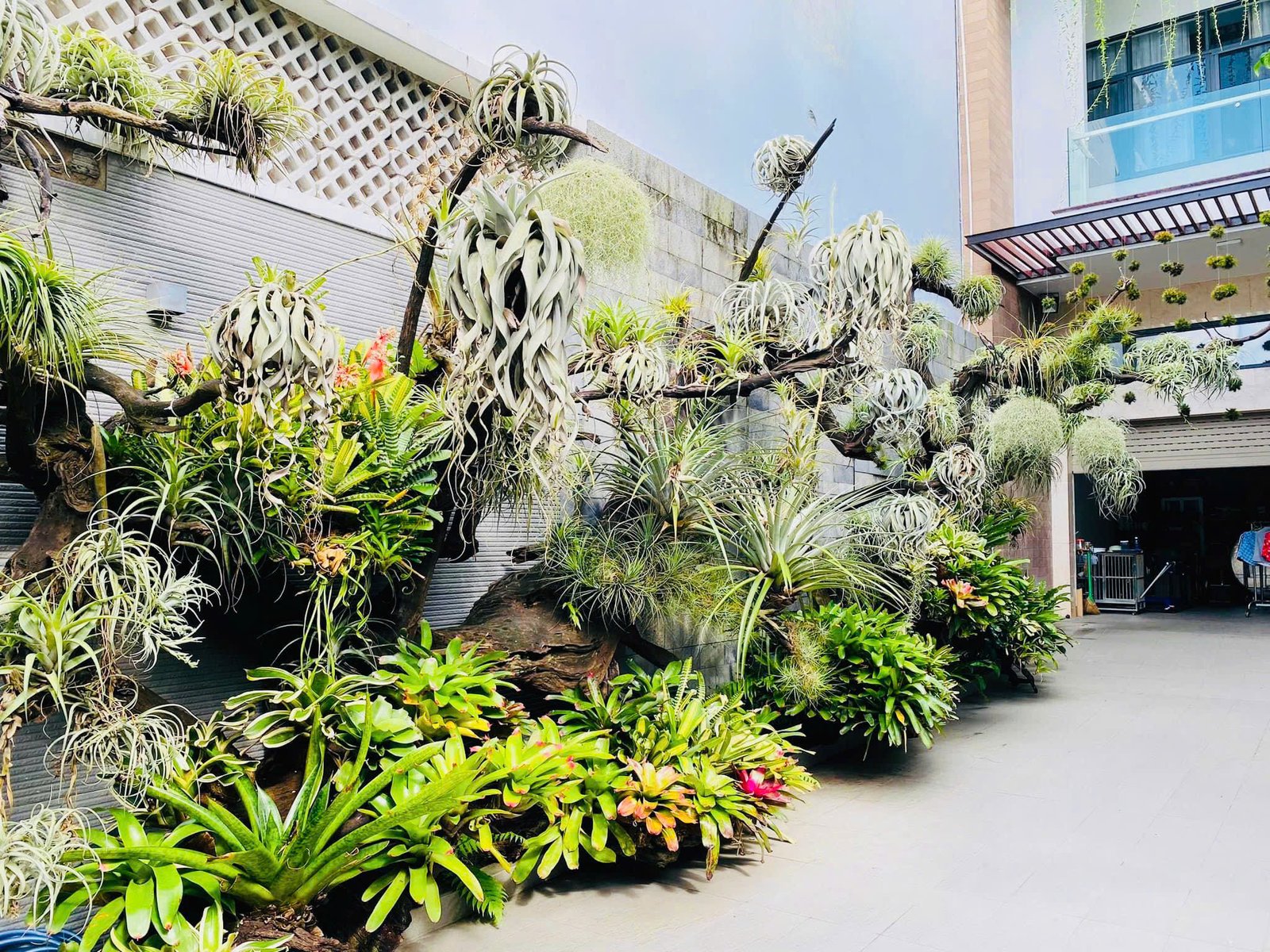 Kỹ thuật Thi công Vườn Tối Giản